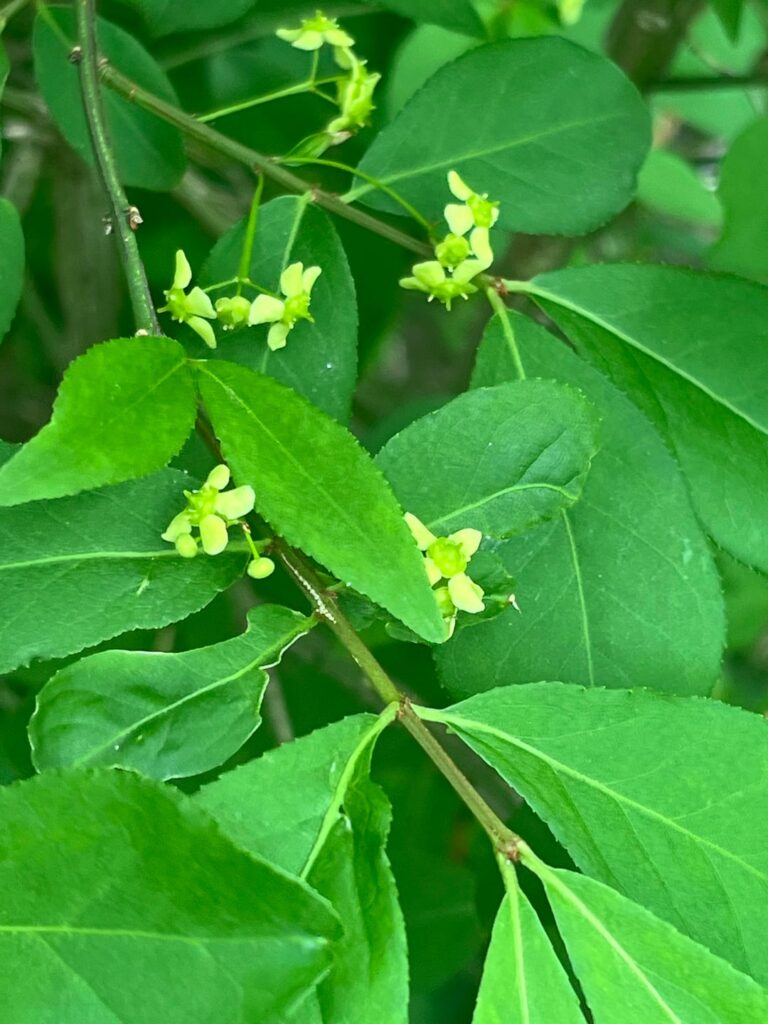 Bush in Philadelphia Pennsylvania