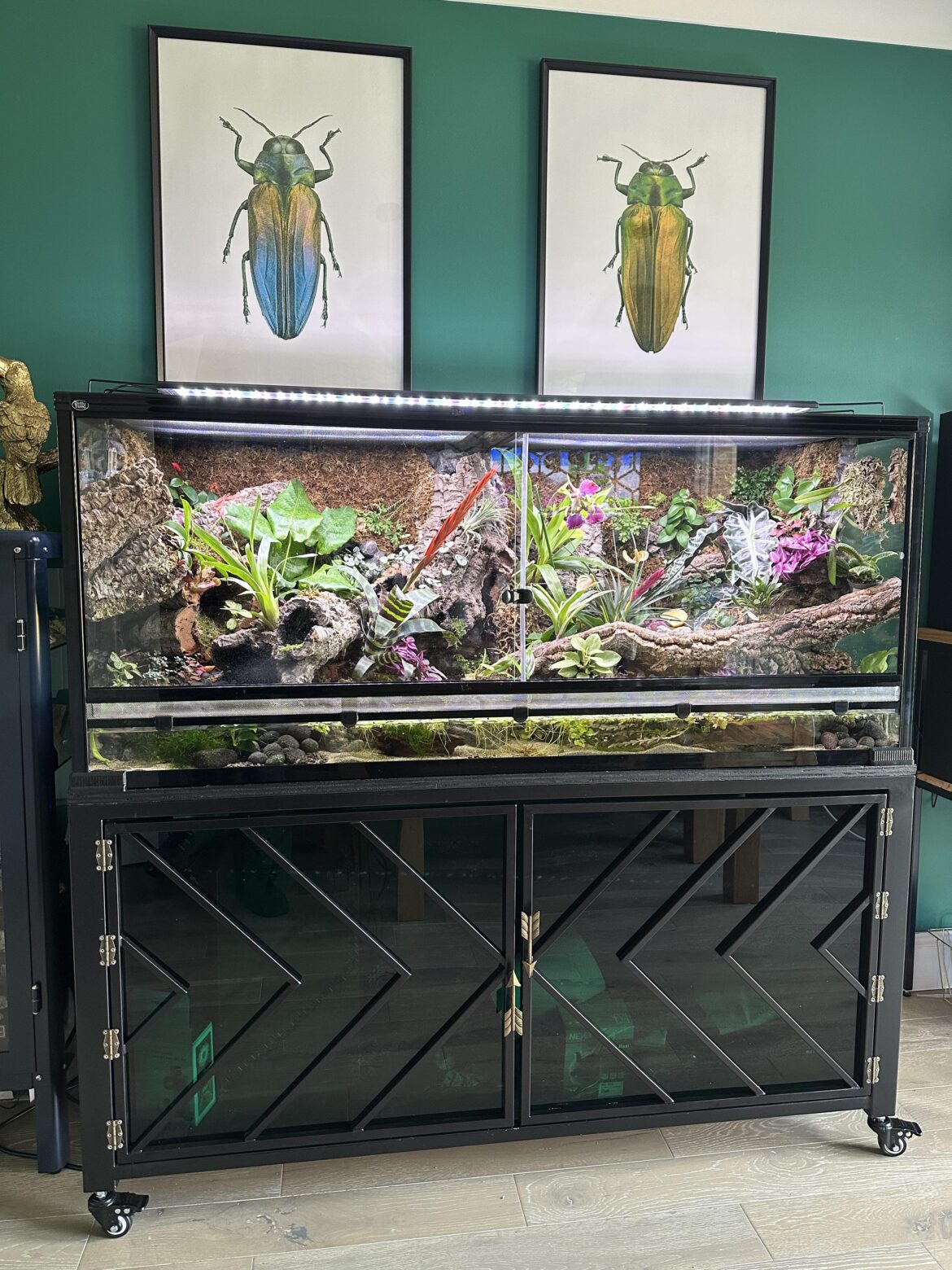 Paludarium cart
