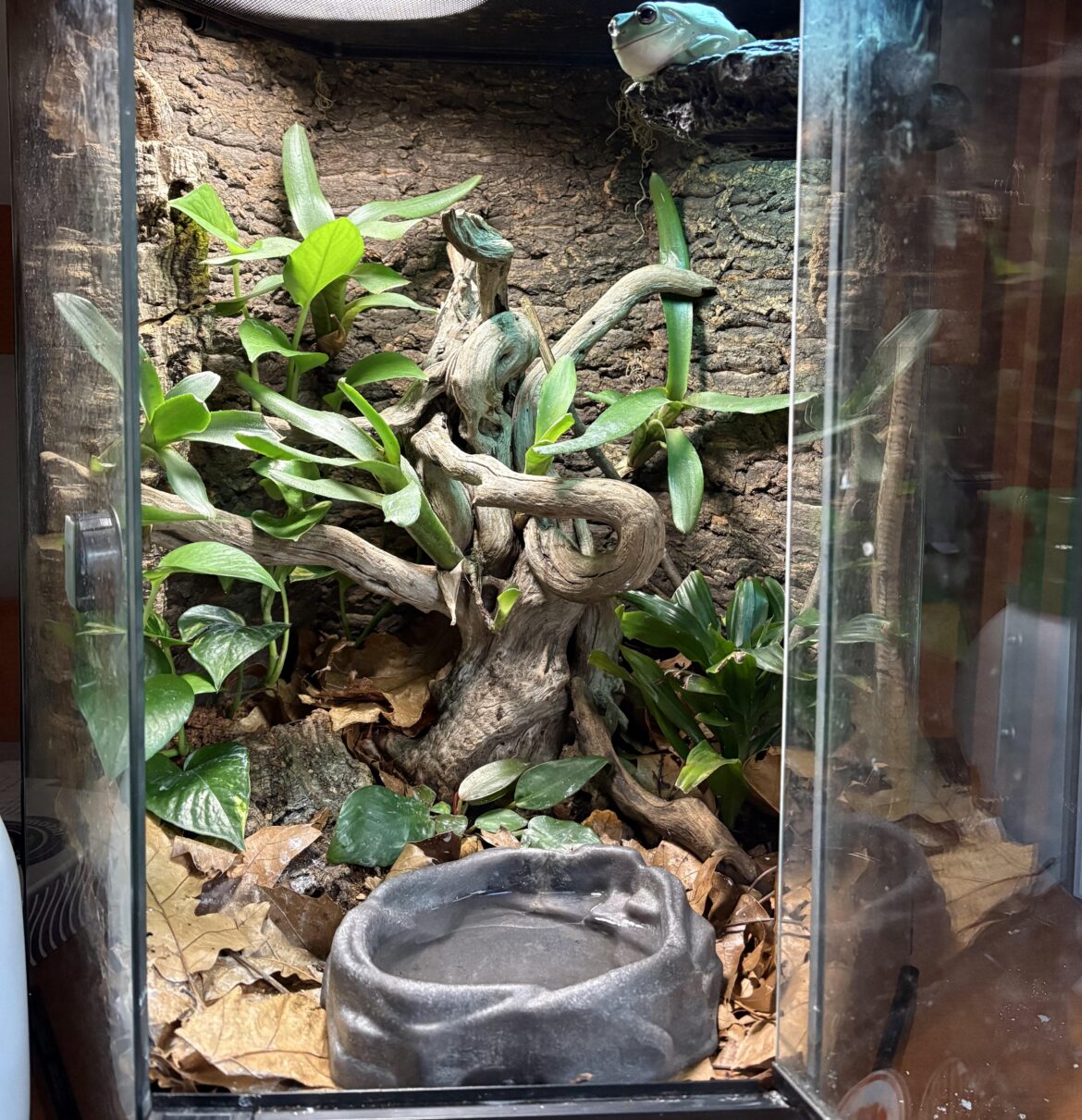 How can I add more ledges/perches without using silicone or adhesive that takes 24hours to cure and it toxic.