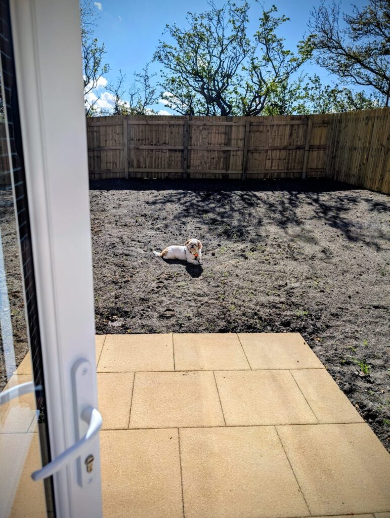 1 year later in a new build garden 1 year later in a new build garden