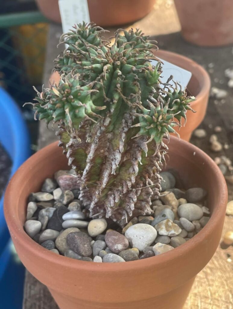 I need some help, please