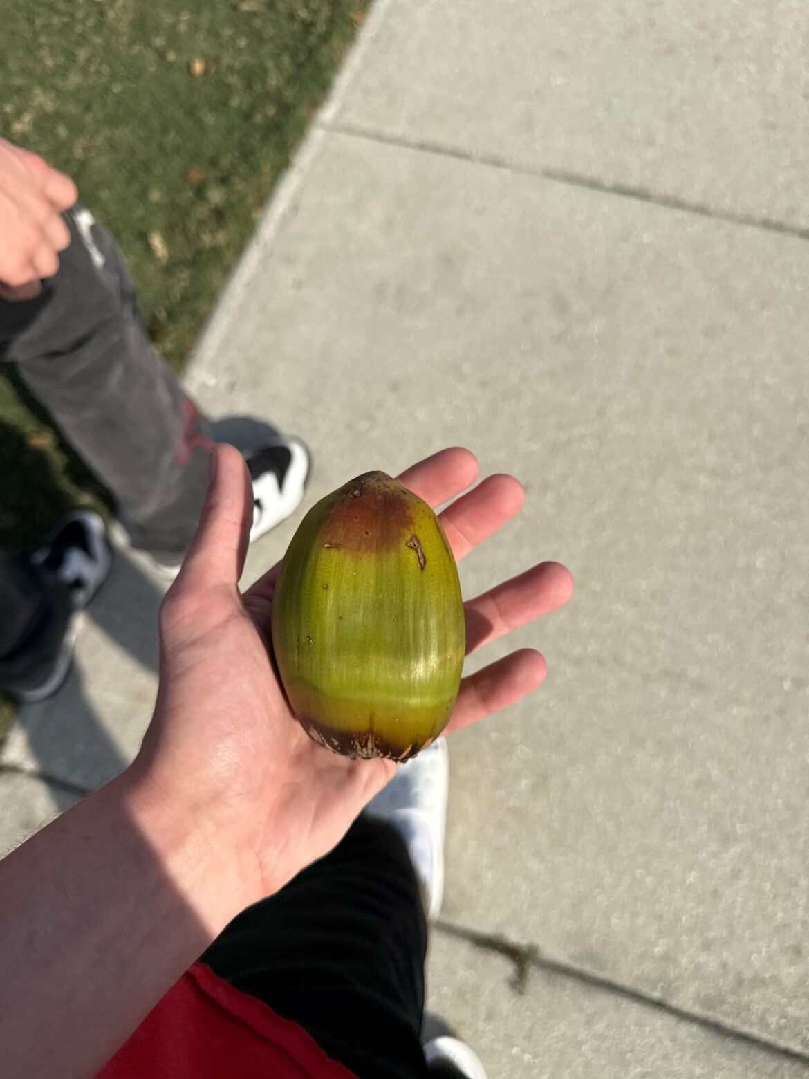 would this grow