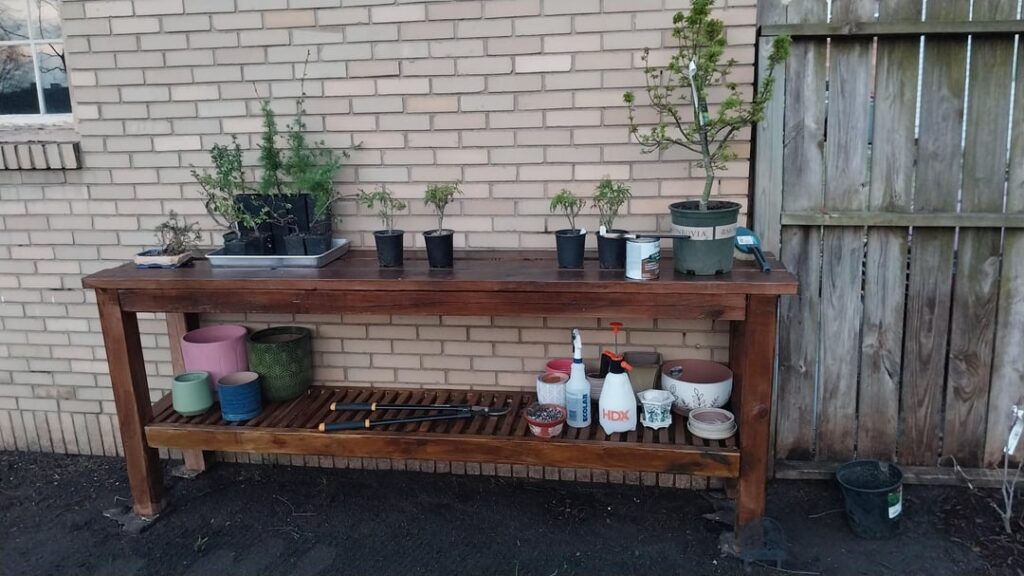 Bonsai Bench Build