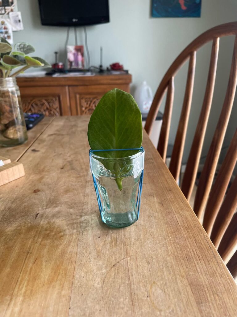 My newest prop contraption