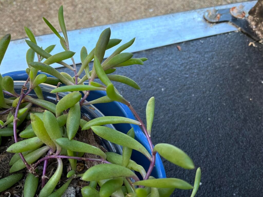 I believe I found her favorite spots!