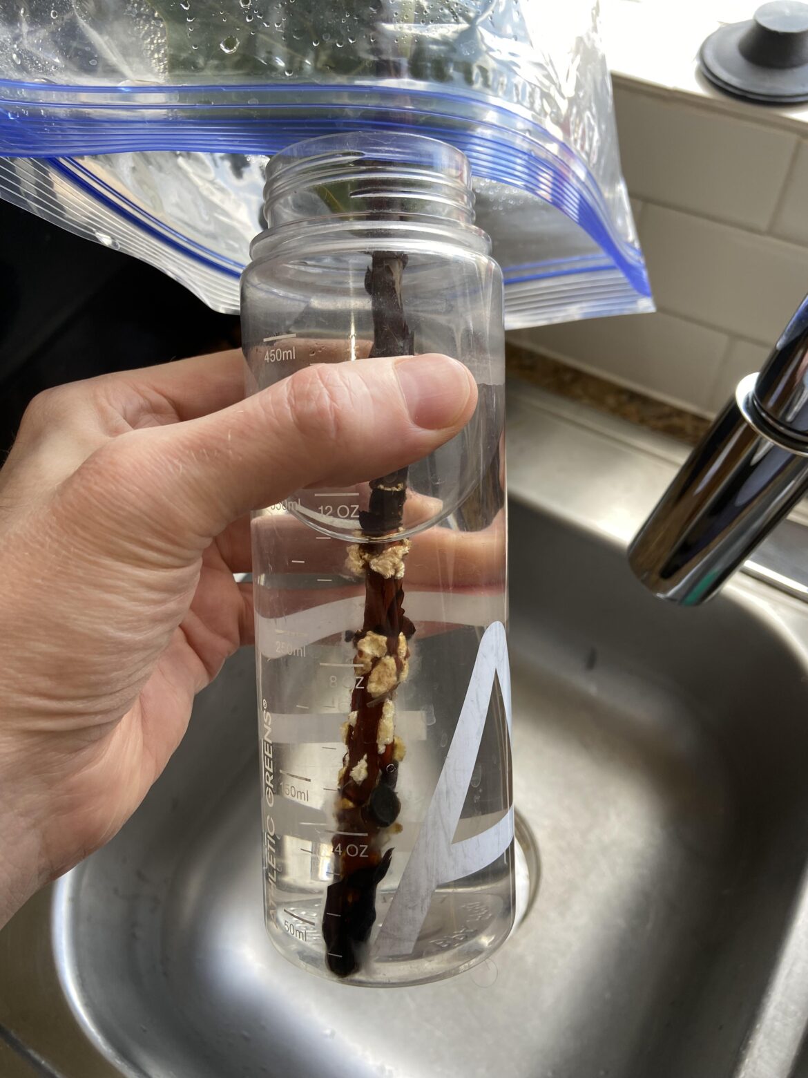 Roots or rot?
