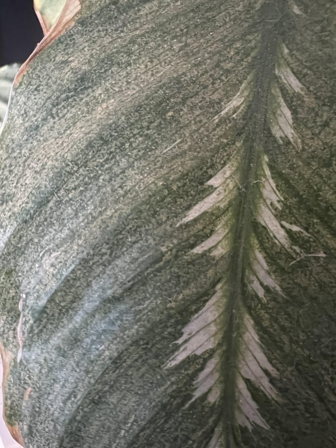 Any ideas what’s wrong here?