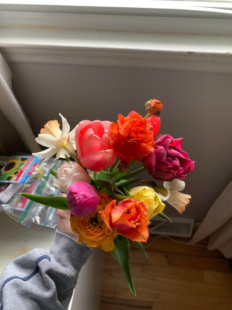 Spring flowers