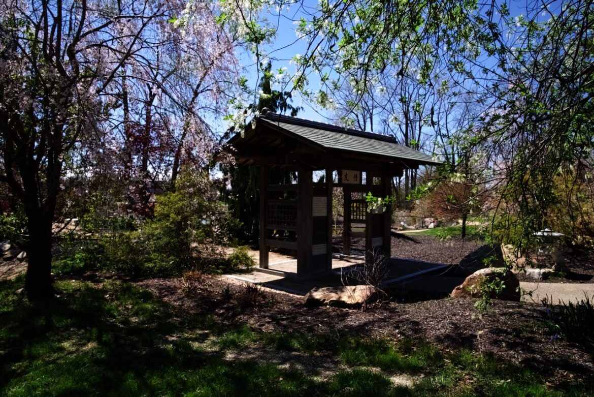 Kawachinagano Japanese Garden Reopens - TheTimes of Noblesville