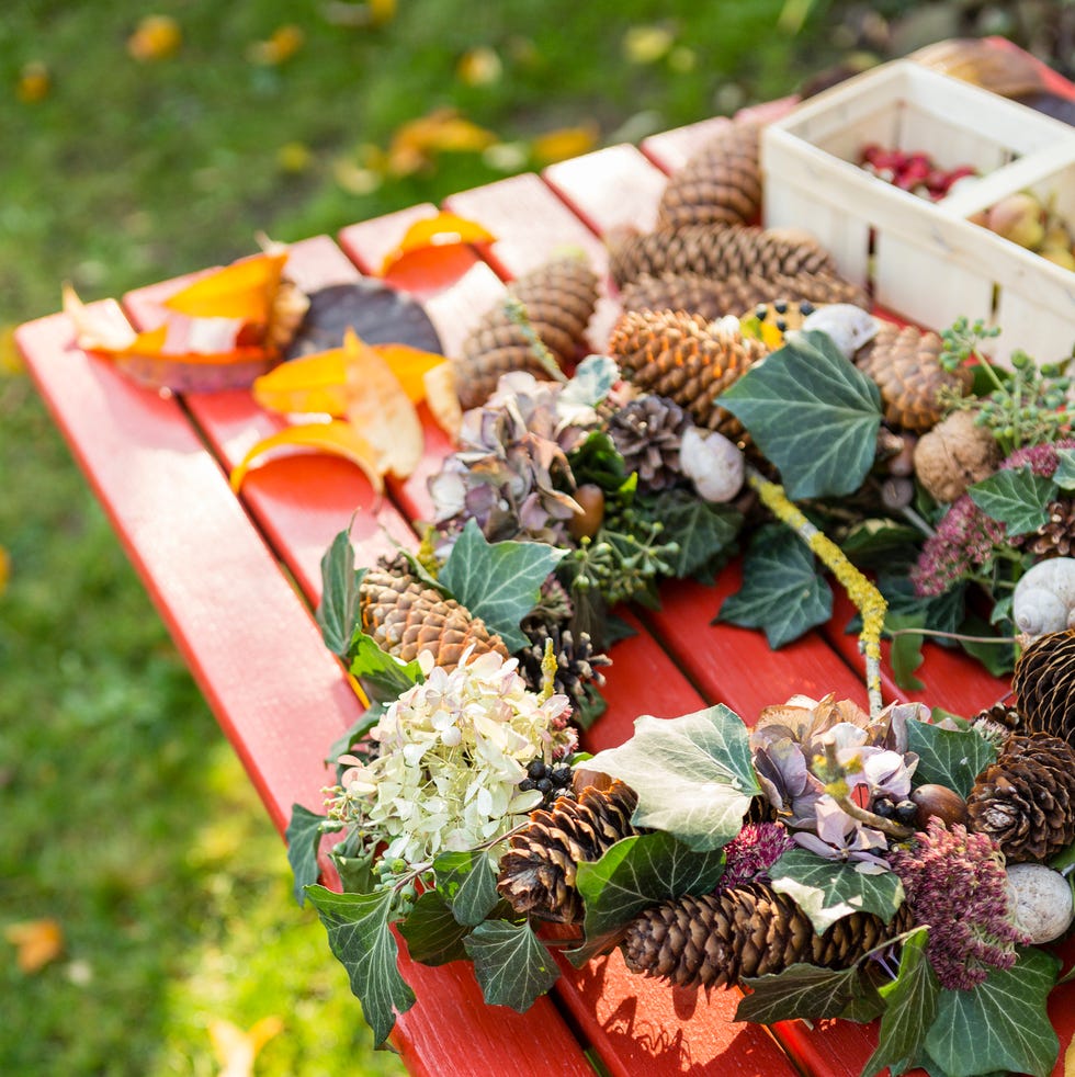 Autumnal wreath with hortensia, pine cones and ivy on garden table autumnal wreath with hortensia, pine cones and ivy on garden table