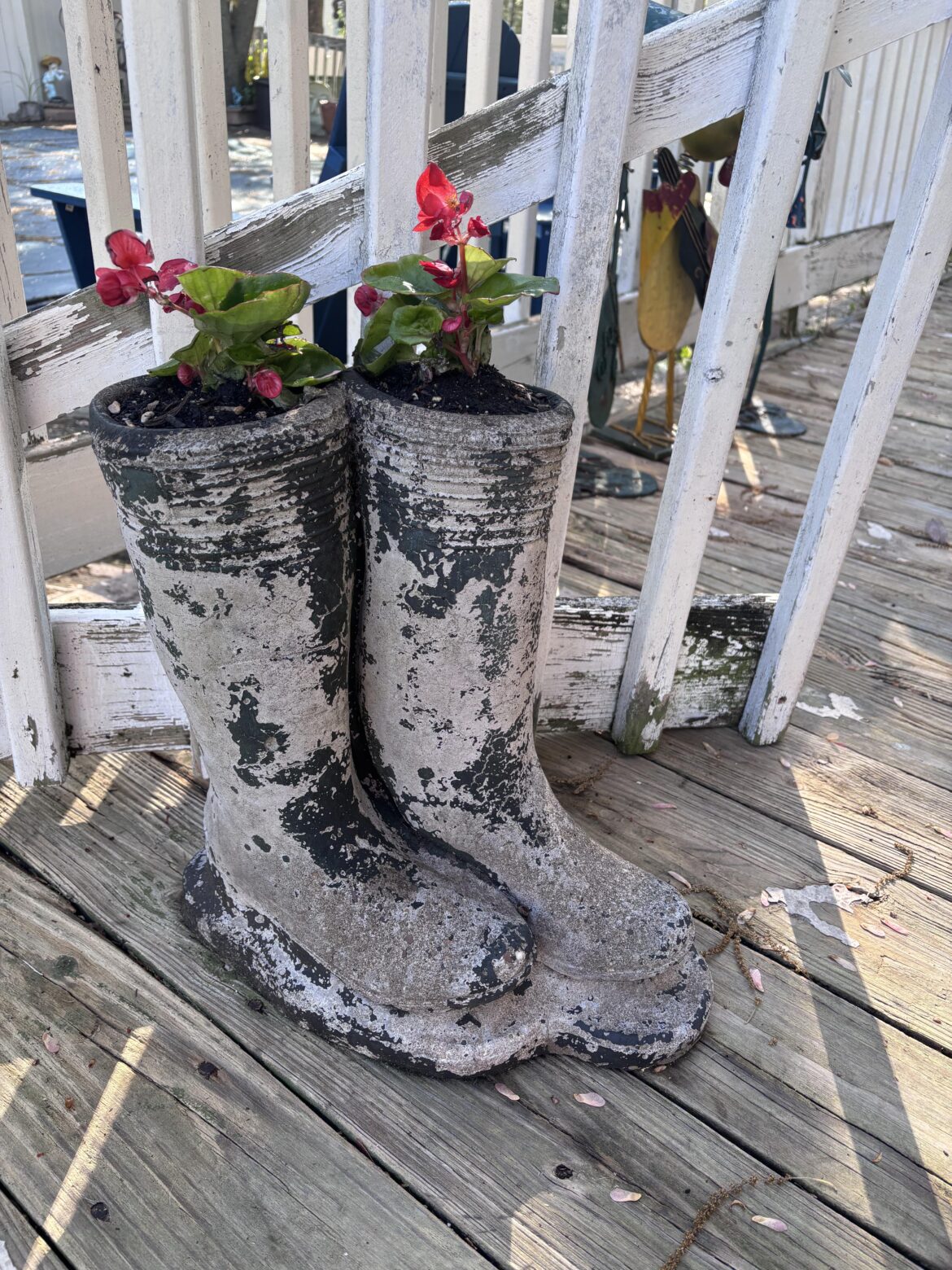 Shallow plant pots - suggestions?