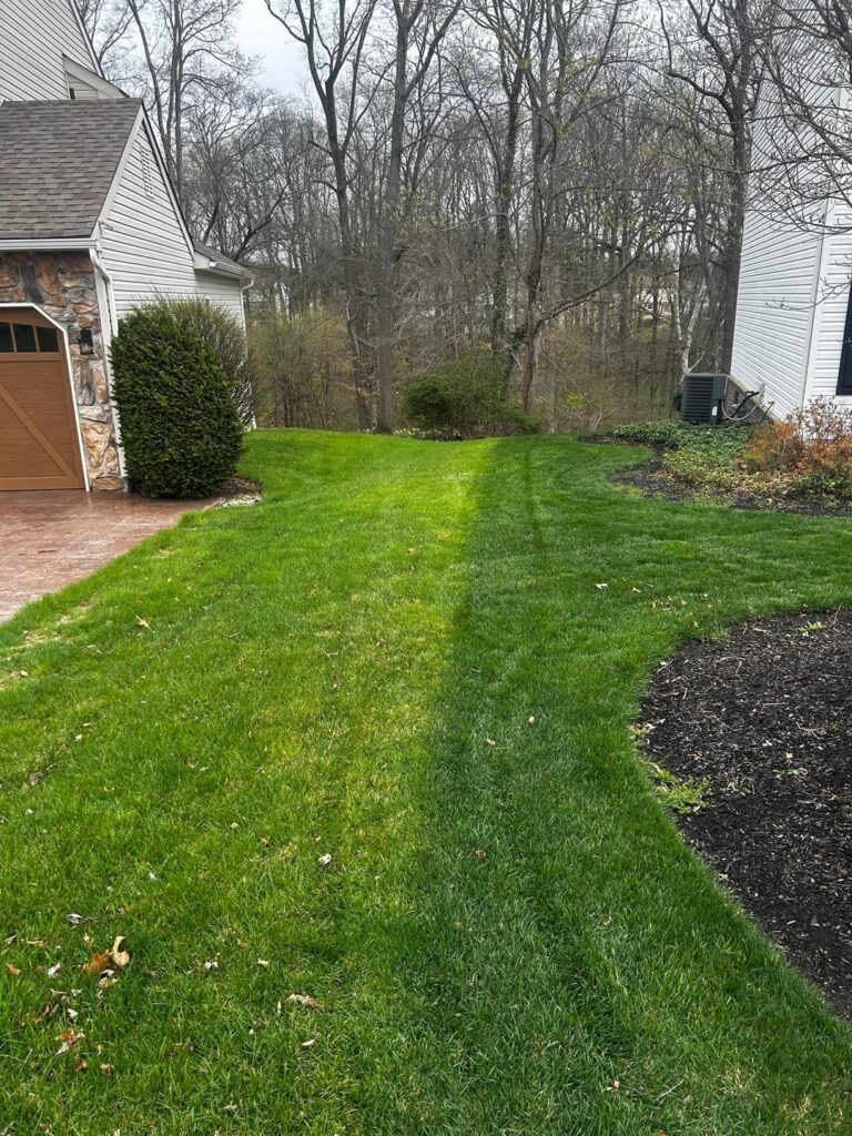 Scott’s vs TruGreen Scott’s vs TruGreen