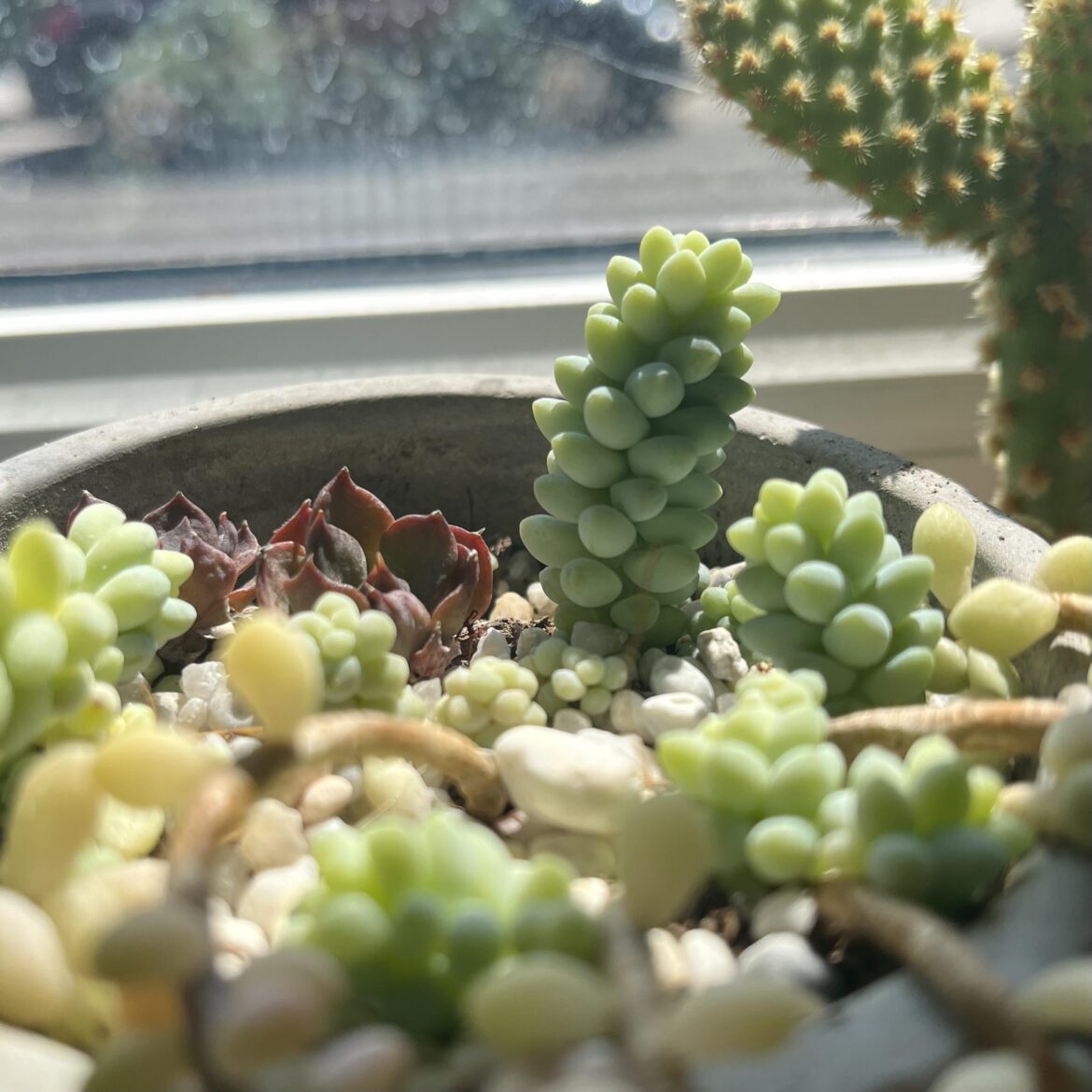 Happy props!