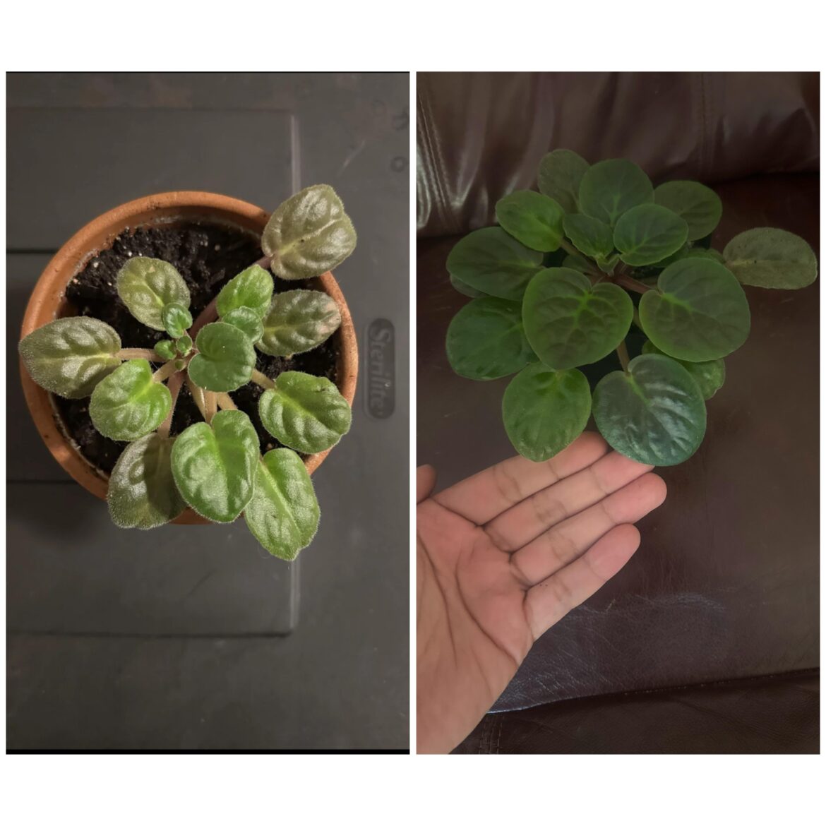 Thanks for the help!!