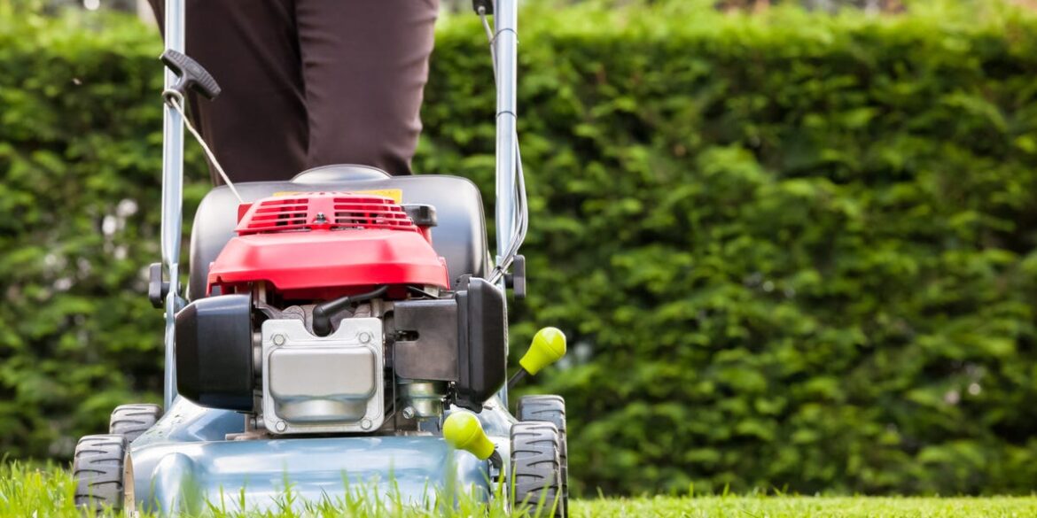 Mow Less Often With This Simple Lawn Care Rule Mow Less Often With This Simple Lawn Care Rule