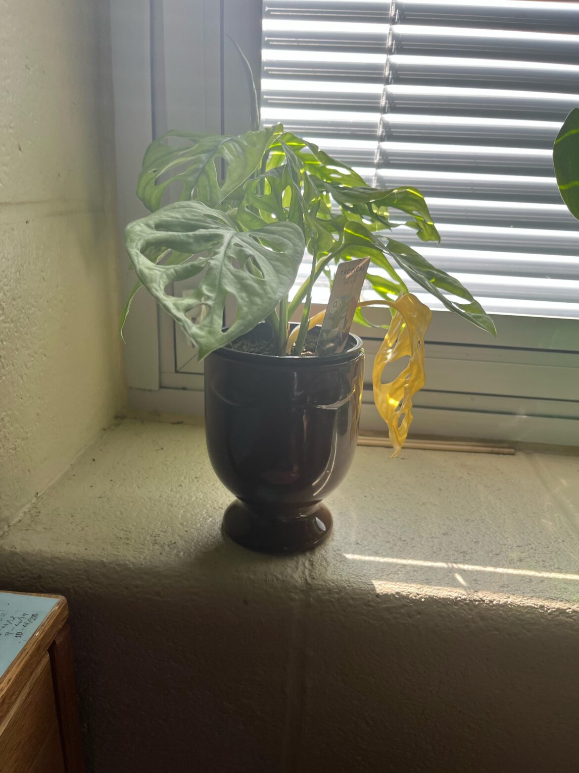 Help!