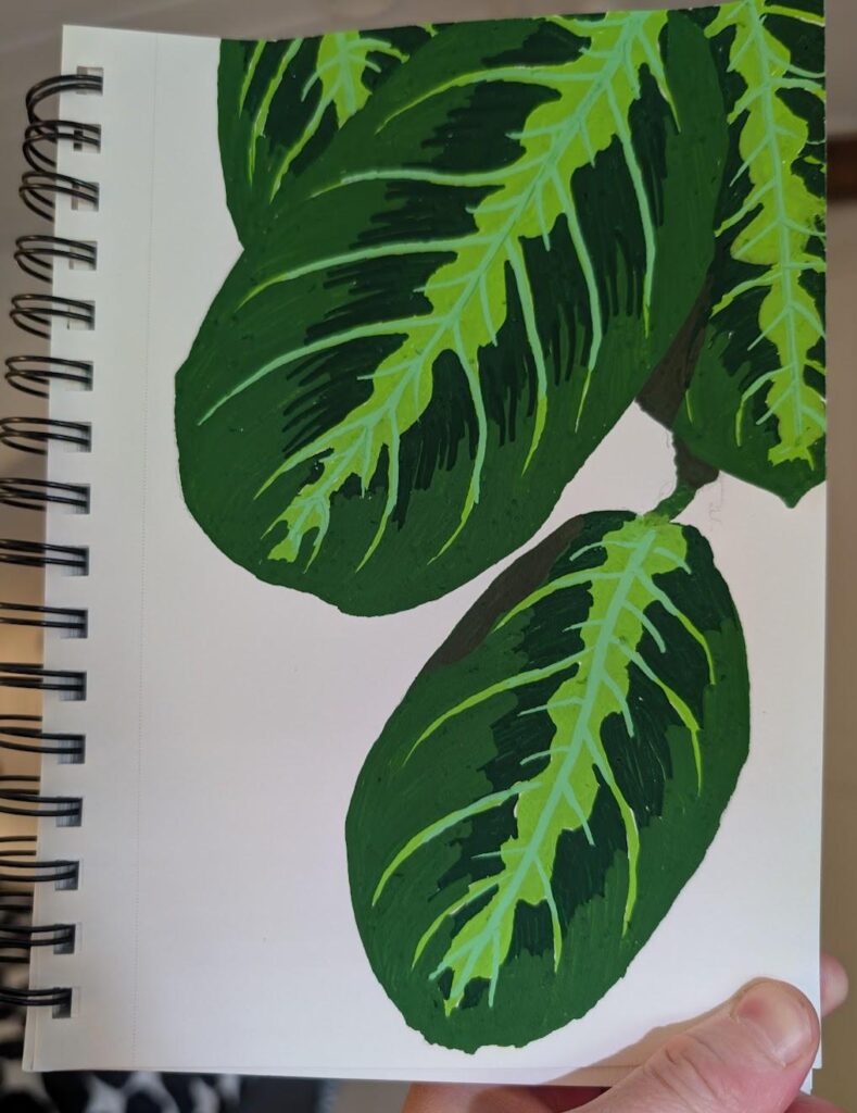 POSCA Marker Drawing of my Maranta