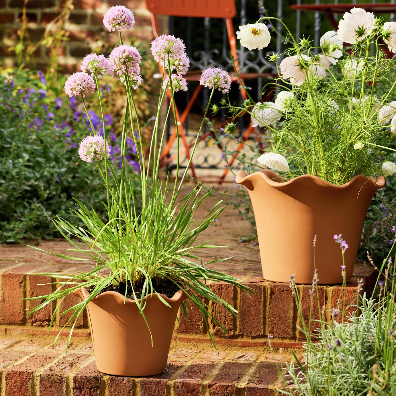 Habitat Scalloped 21cm Clay Planter &ndash; Small