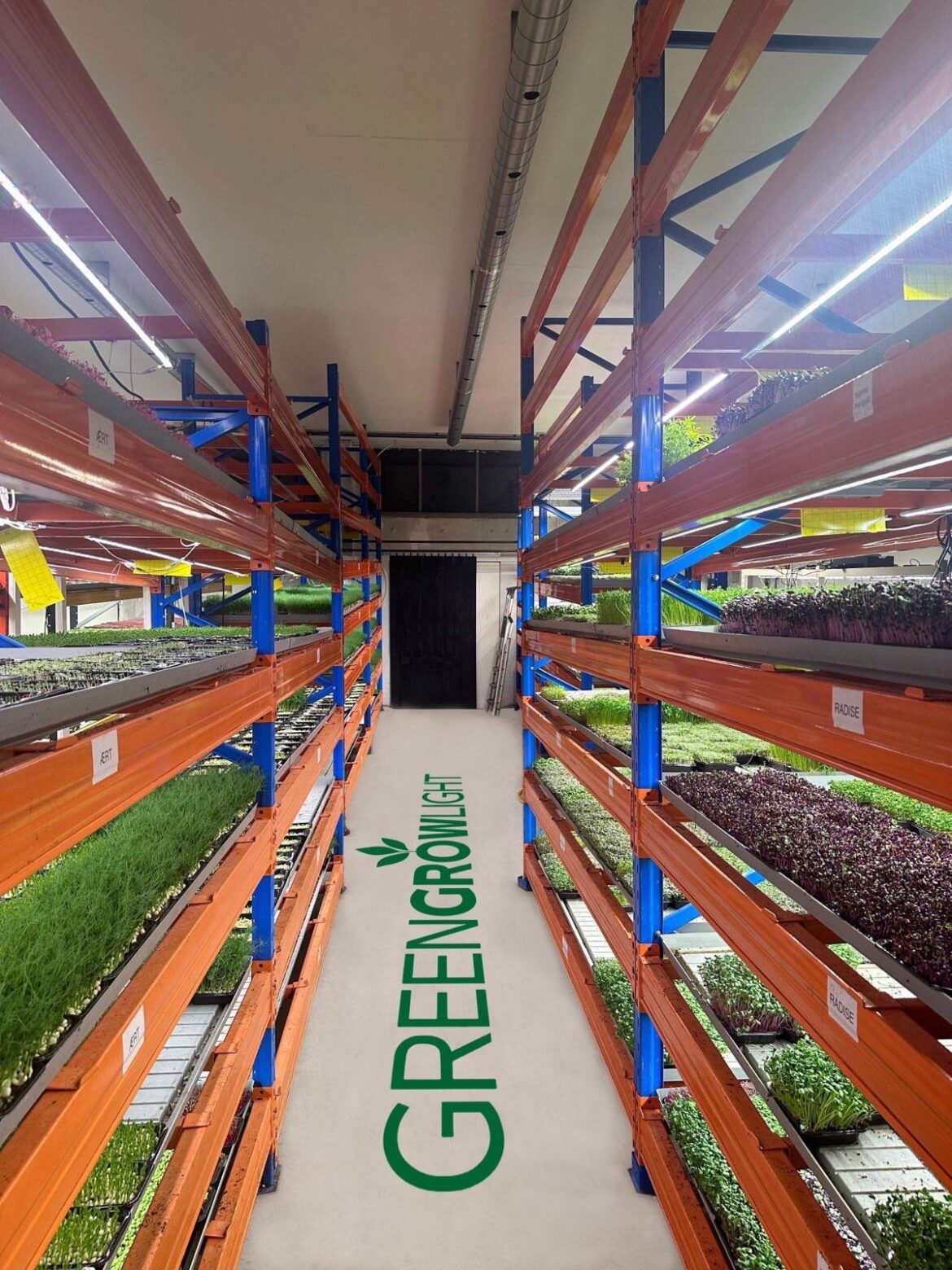 How is microgreens businesses doing today?