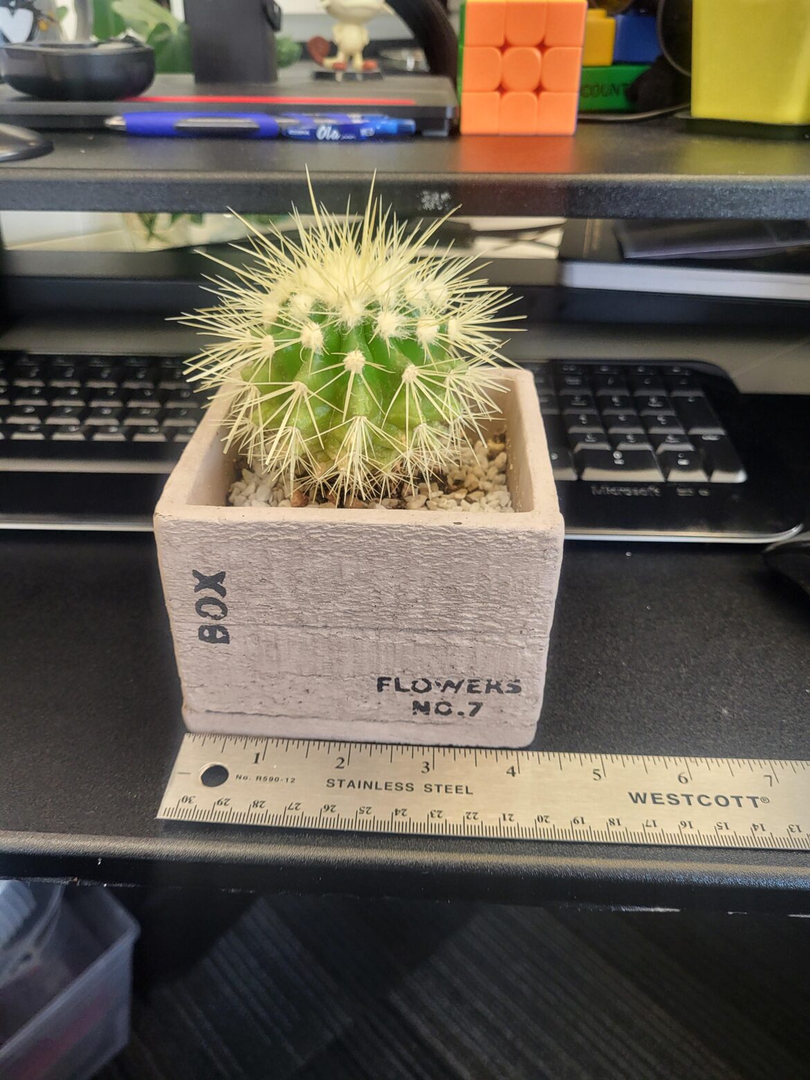 Seeking pot size suggestions