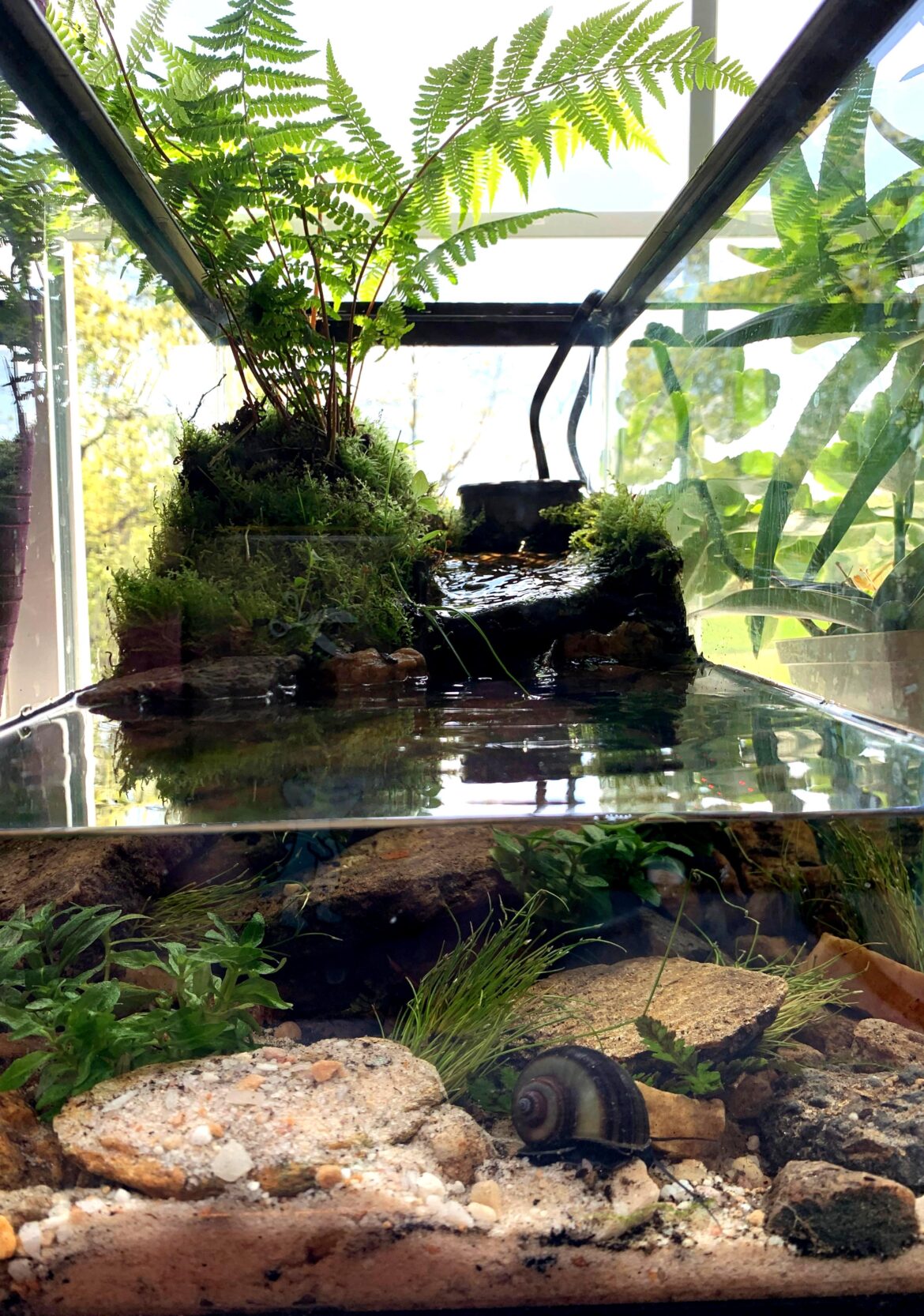 r/PlantedTank recommended I post my first build here as well