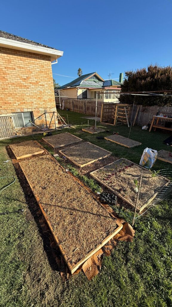 Garden update - April