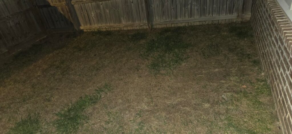 First time homeowner in Zone 7a-b. Tall Fescue? Previous neglect with rocky/clay soil.