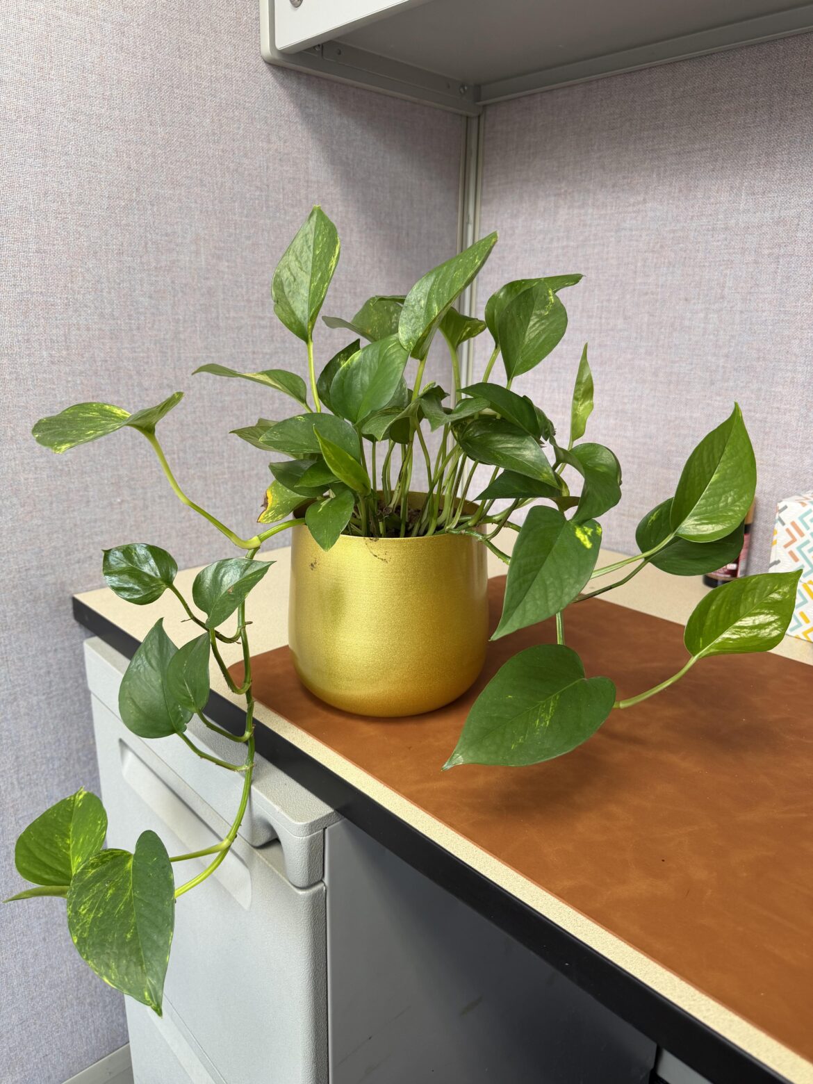 Office Pythos Office Pythos