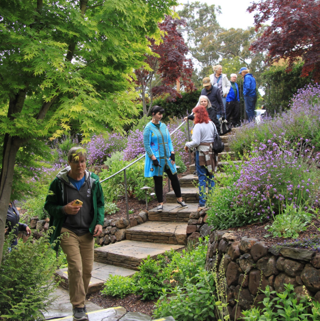 Annual ‘Bringing Back the Natives’ garden and green home showcase returns May 2-3 Annual ‘Bringing Back the Natives’ garden and green home showcase returns May 2-3