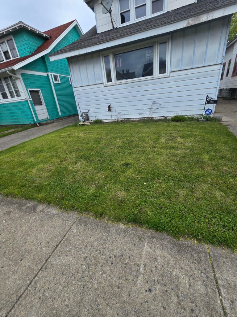 About to replace my lawn with a garden About to replace my lawn with a garden