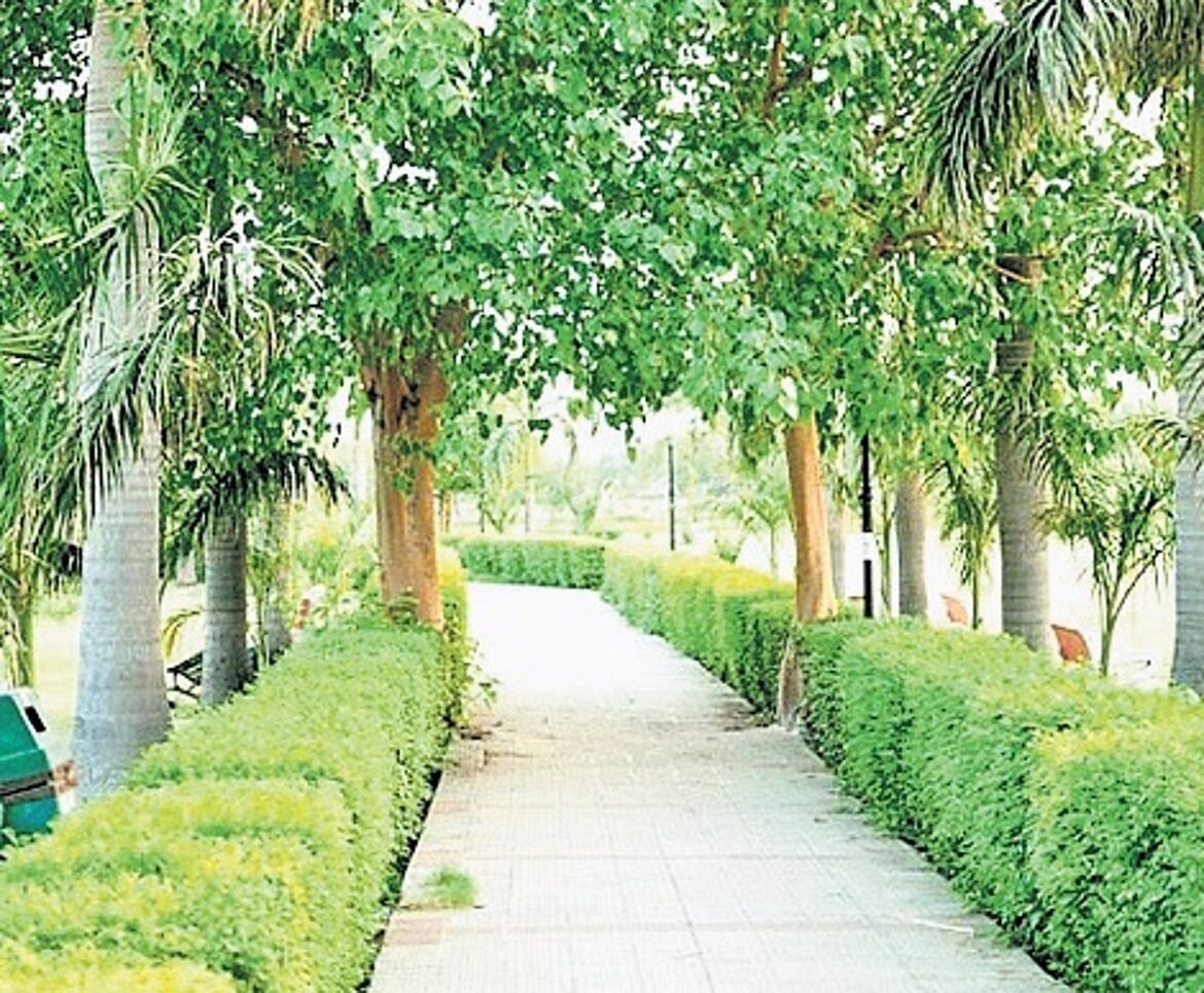 MCD to pay gardener salary to resident welfare associations for upkeep of parks MCD to pay gardener salary to resident welfare associations for upkeep of parks