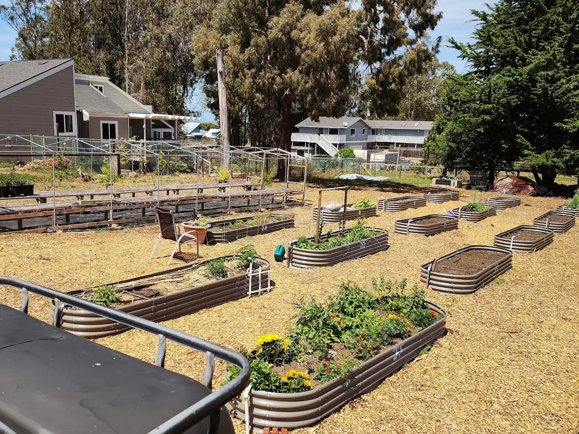 Trinity United Methodist Church builds a garden to bring the community together