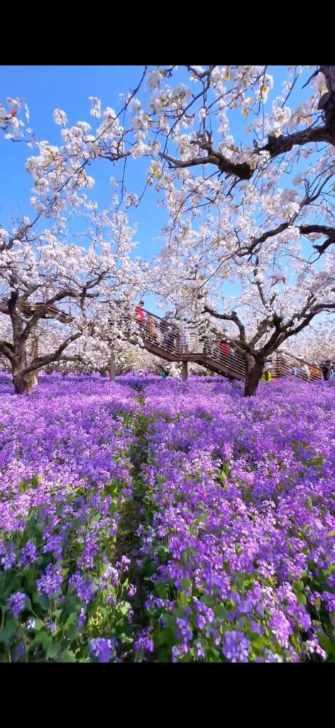I think my garden is one of the most beautiful in the world, is it?
