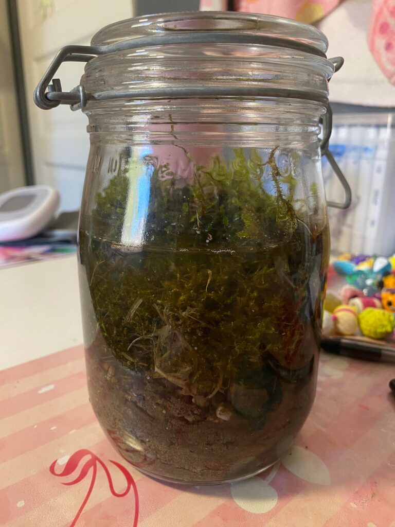 First jar I made since 2022 First jar I made since 2022