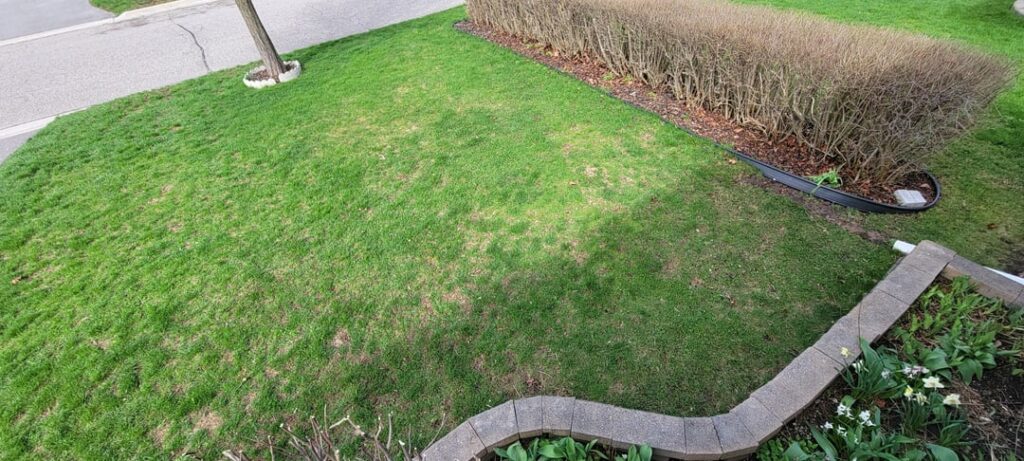 Planting prep? (Southern Ontario) Planting prep? (Southern Ontario)