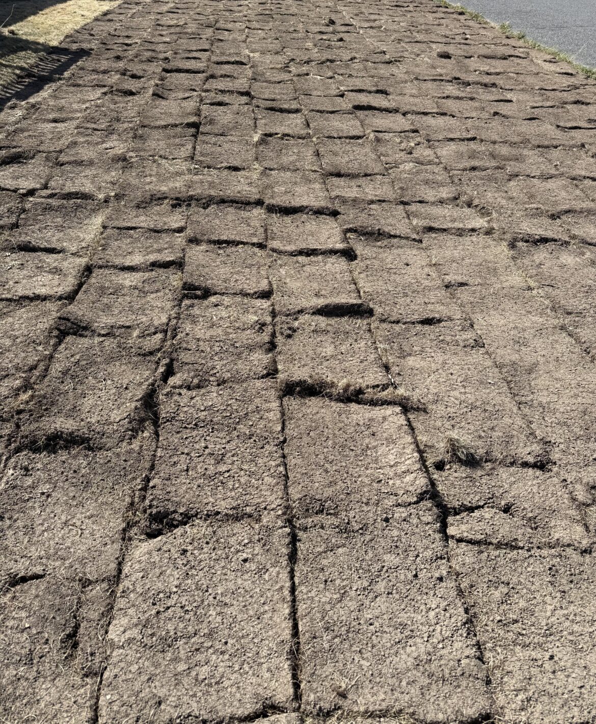 Flipped sod, now what Flipped sod, now what