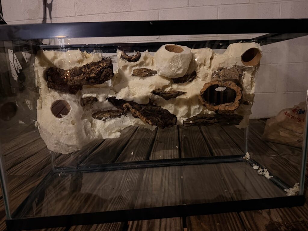 First bioactive vivarium! First bioactive vivarium!