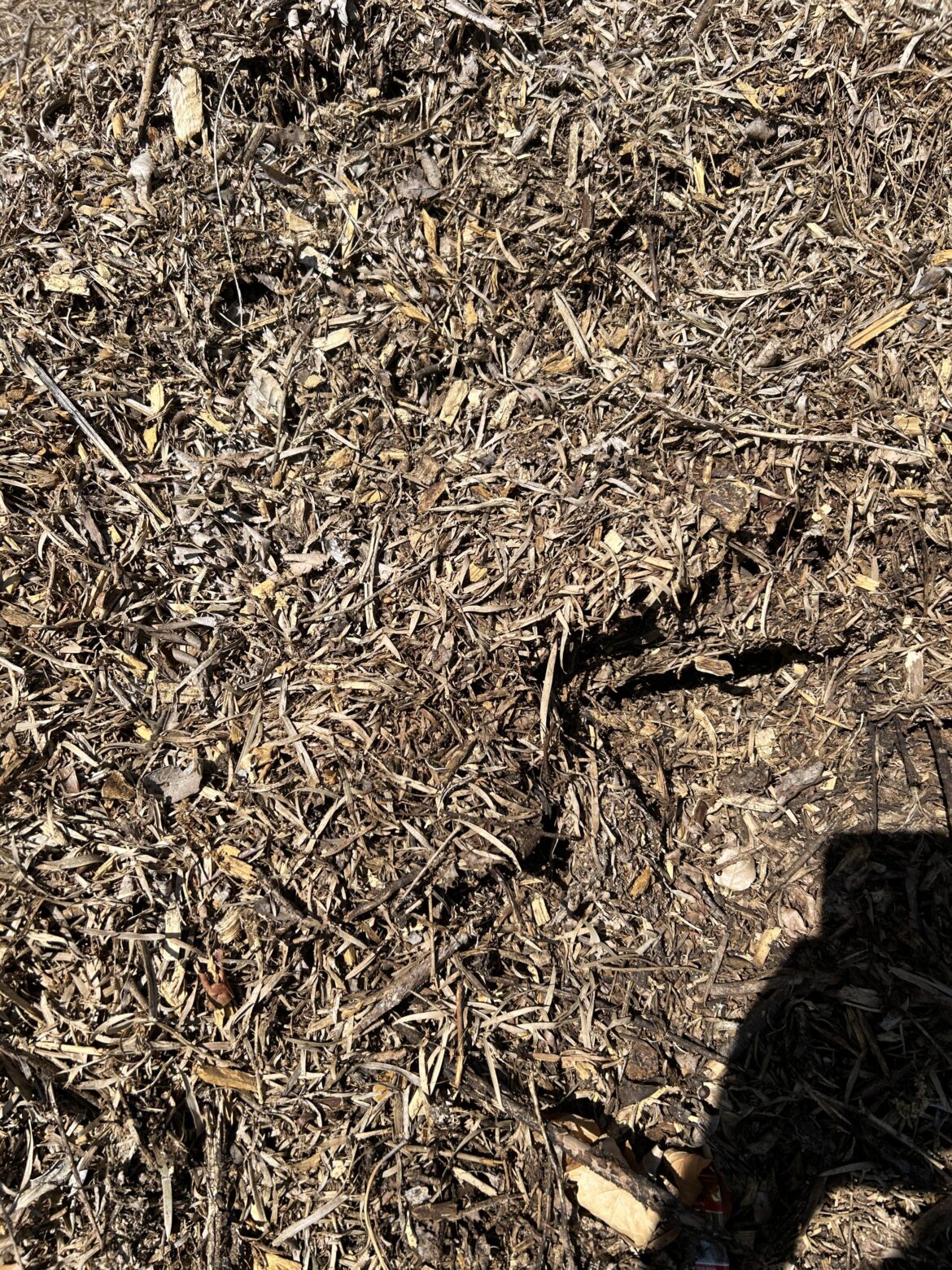 Struggling with low quality trimming