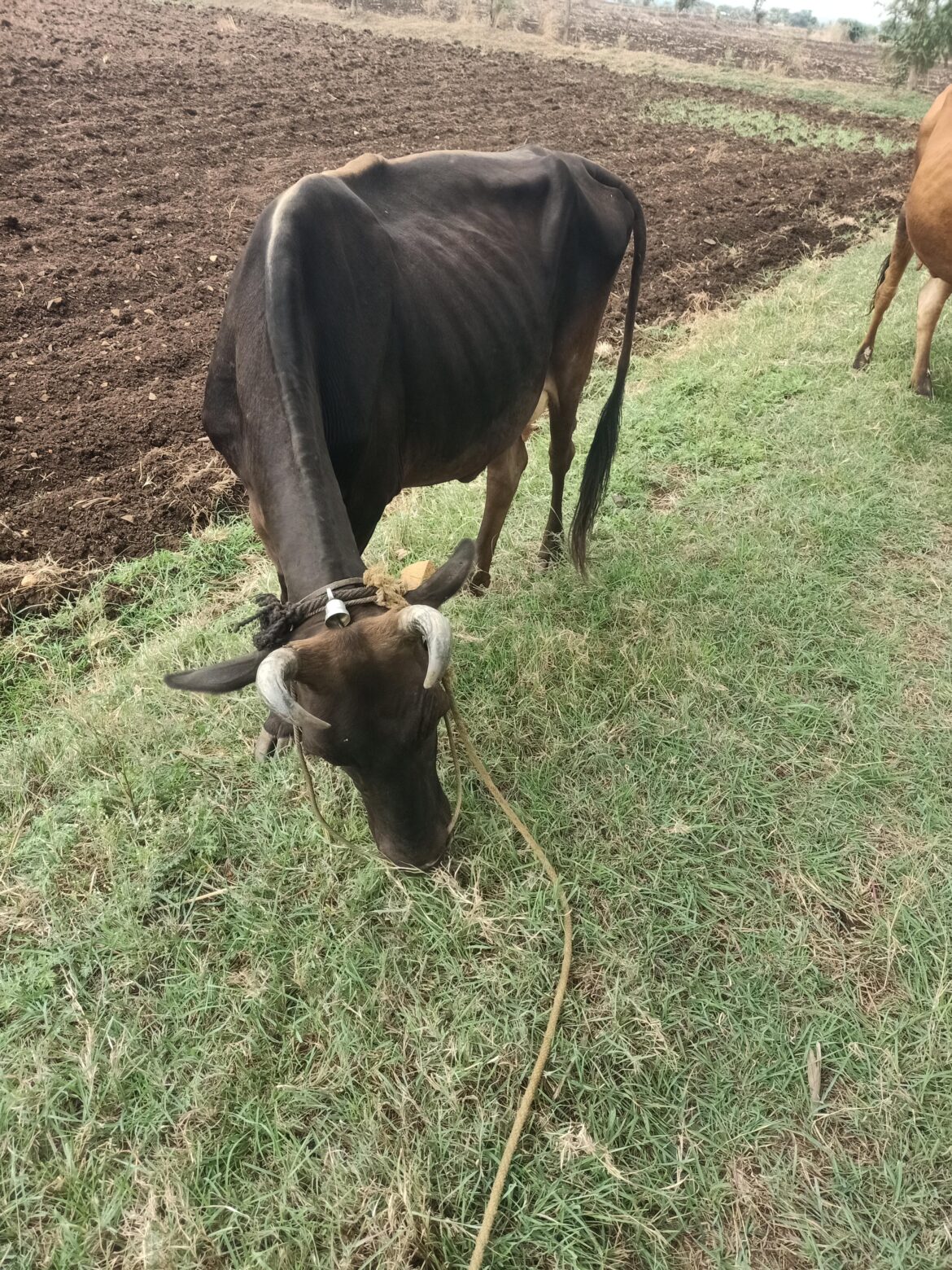 Feeding time
