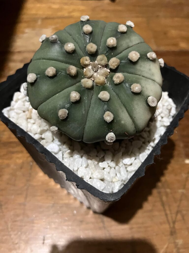 how are they doing?