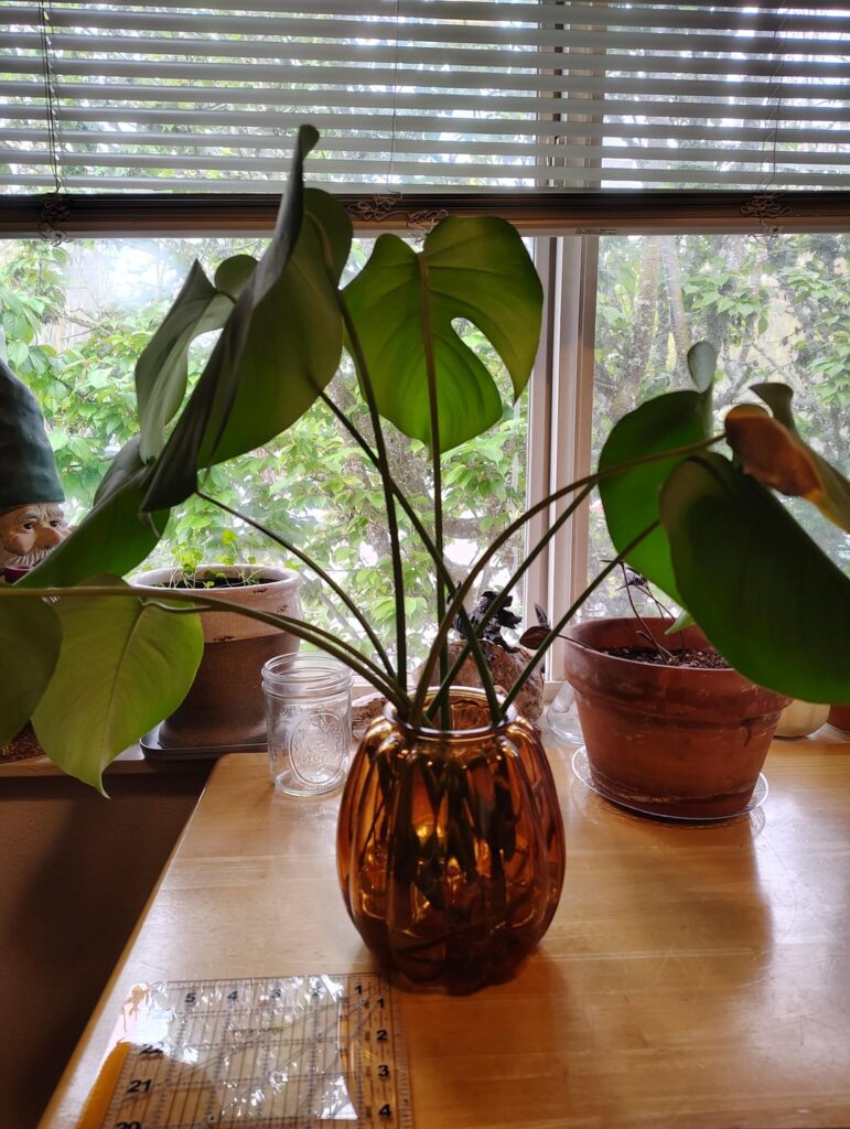 Help me save this baby