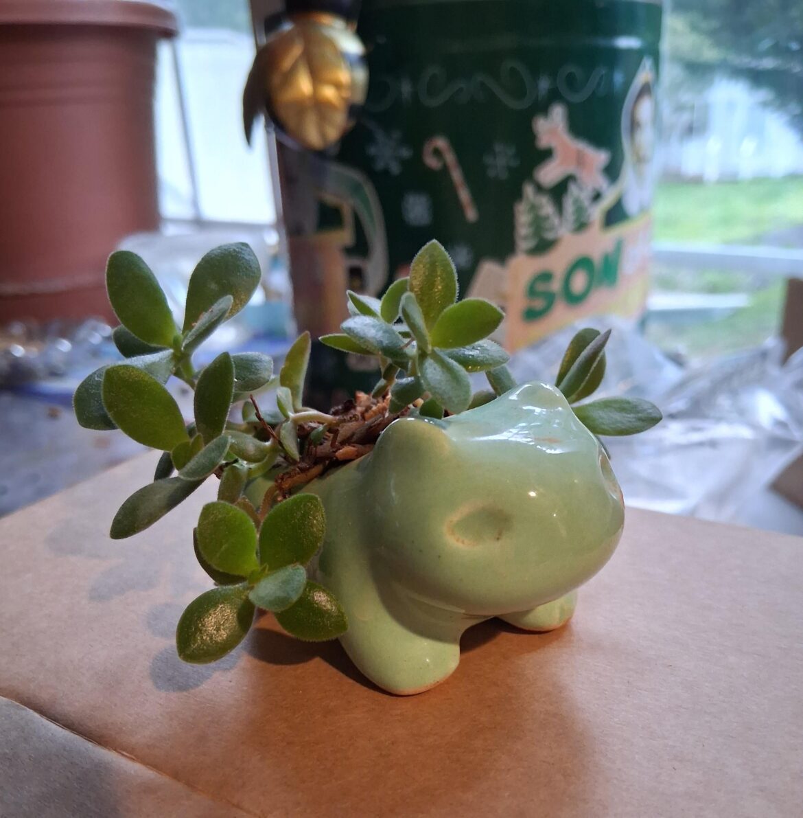 Help with my lil proplifted baby?