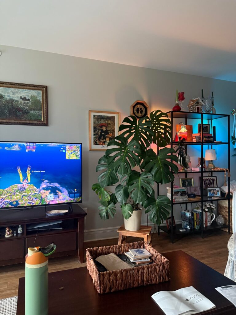 Is my monstera too far from the window?? Is my monstera too far from the window??