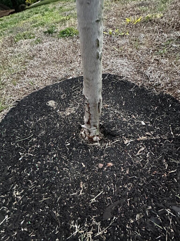 Need advice/help