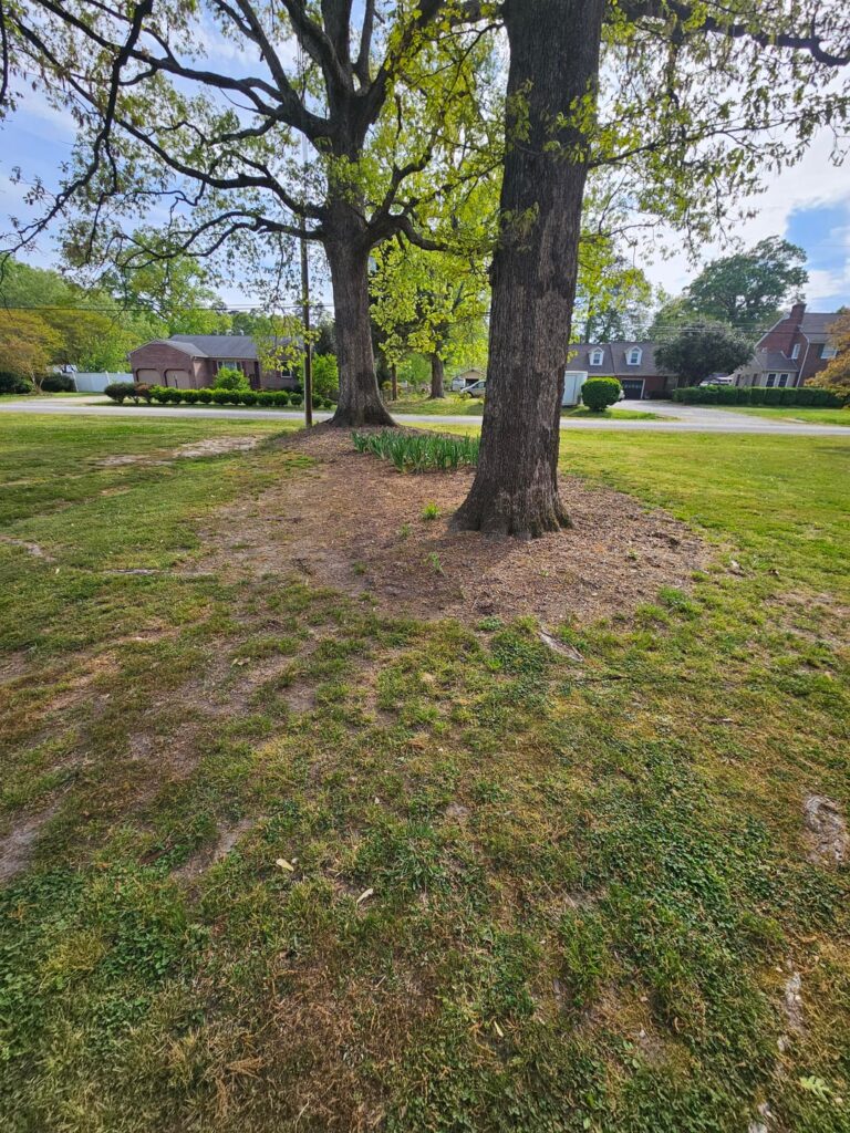 New house, first project