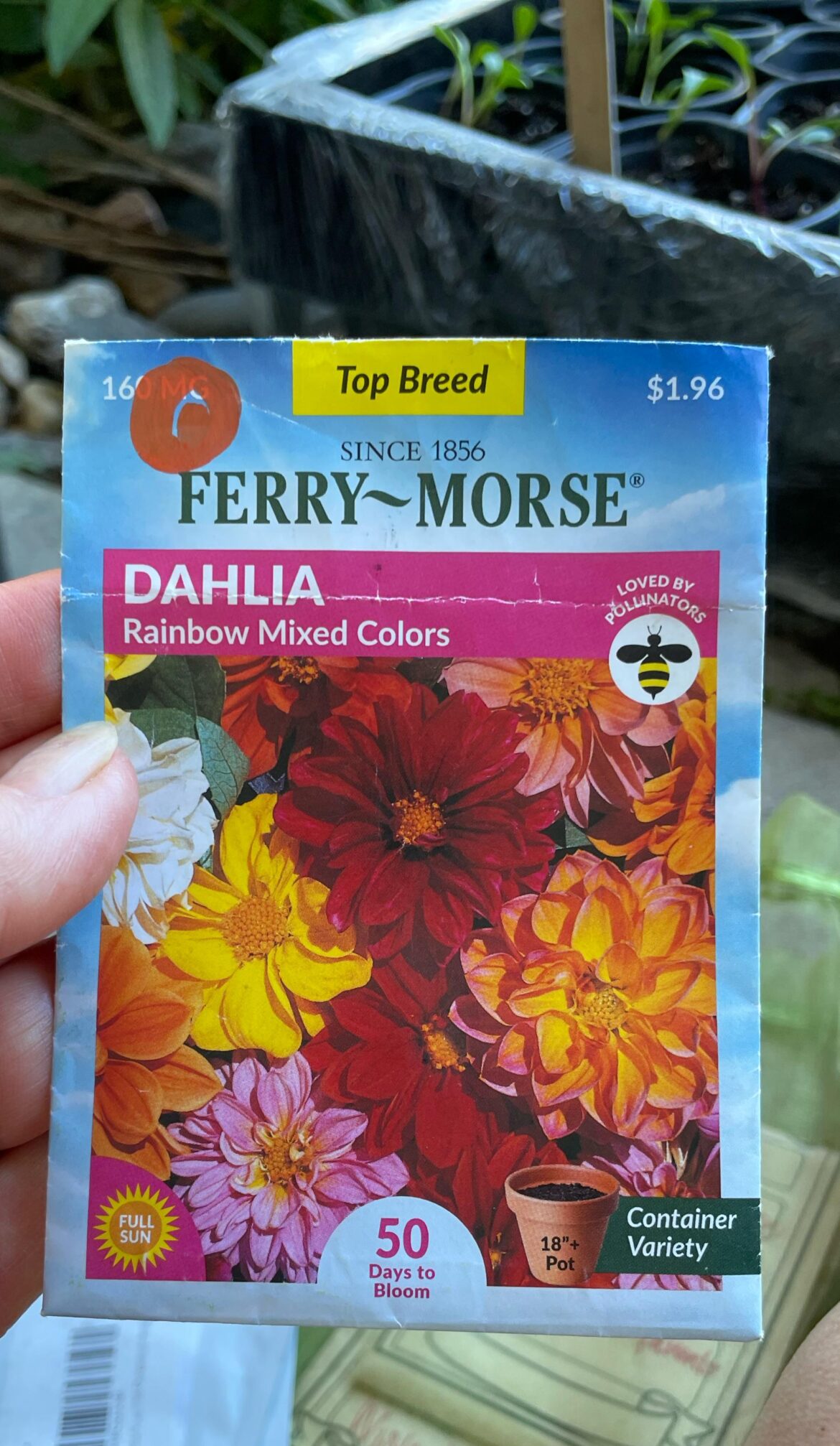 Has anyone grown these?