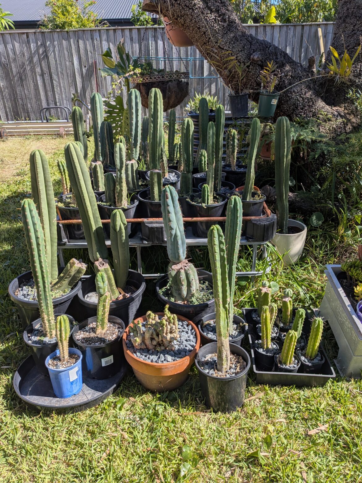 Family Photo