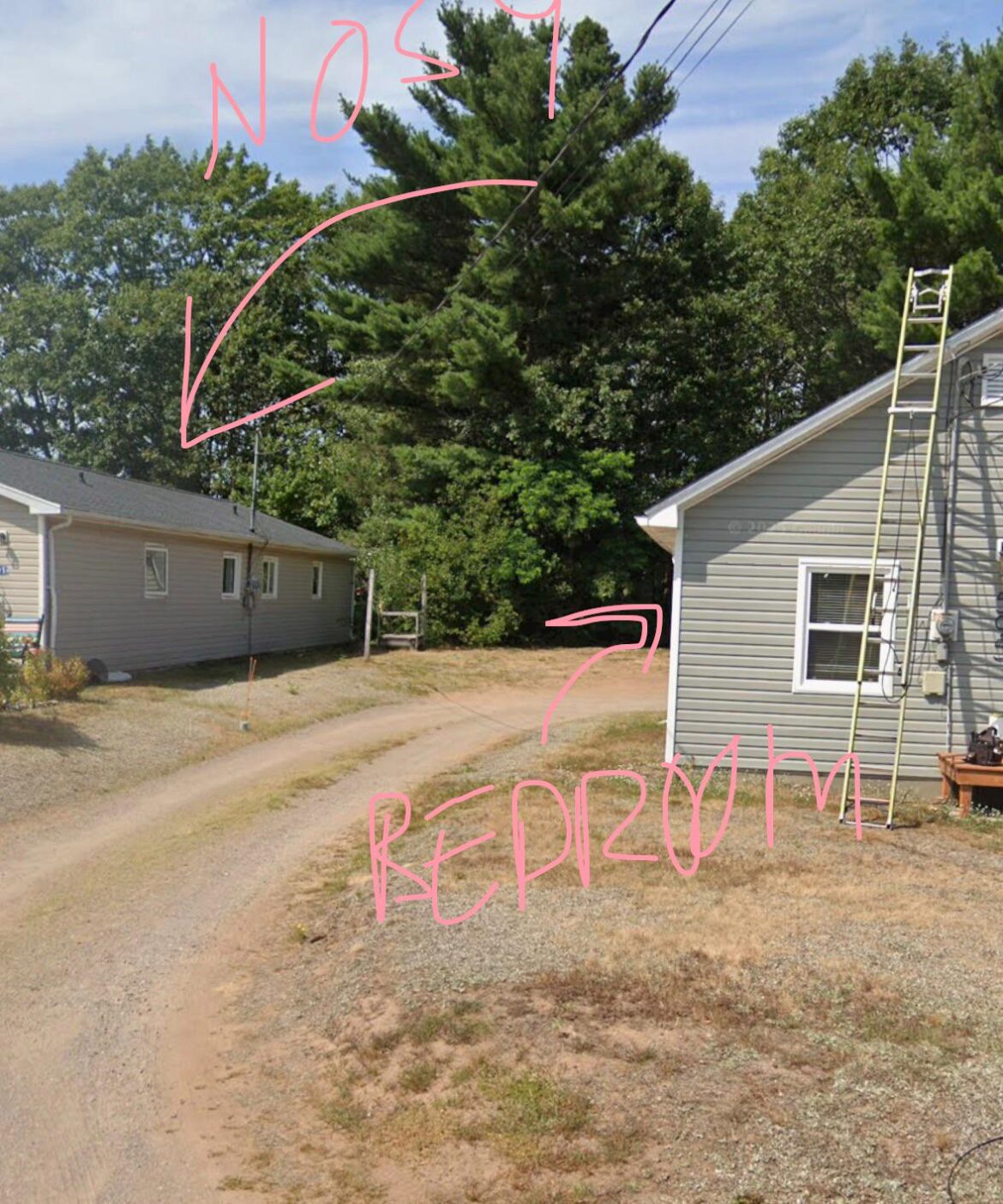 Nosy neighbours privacy wall or shrubs?