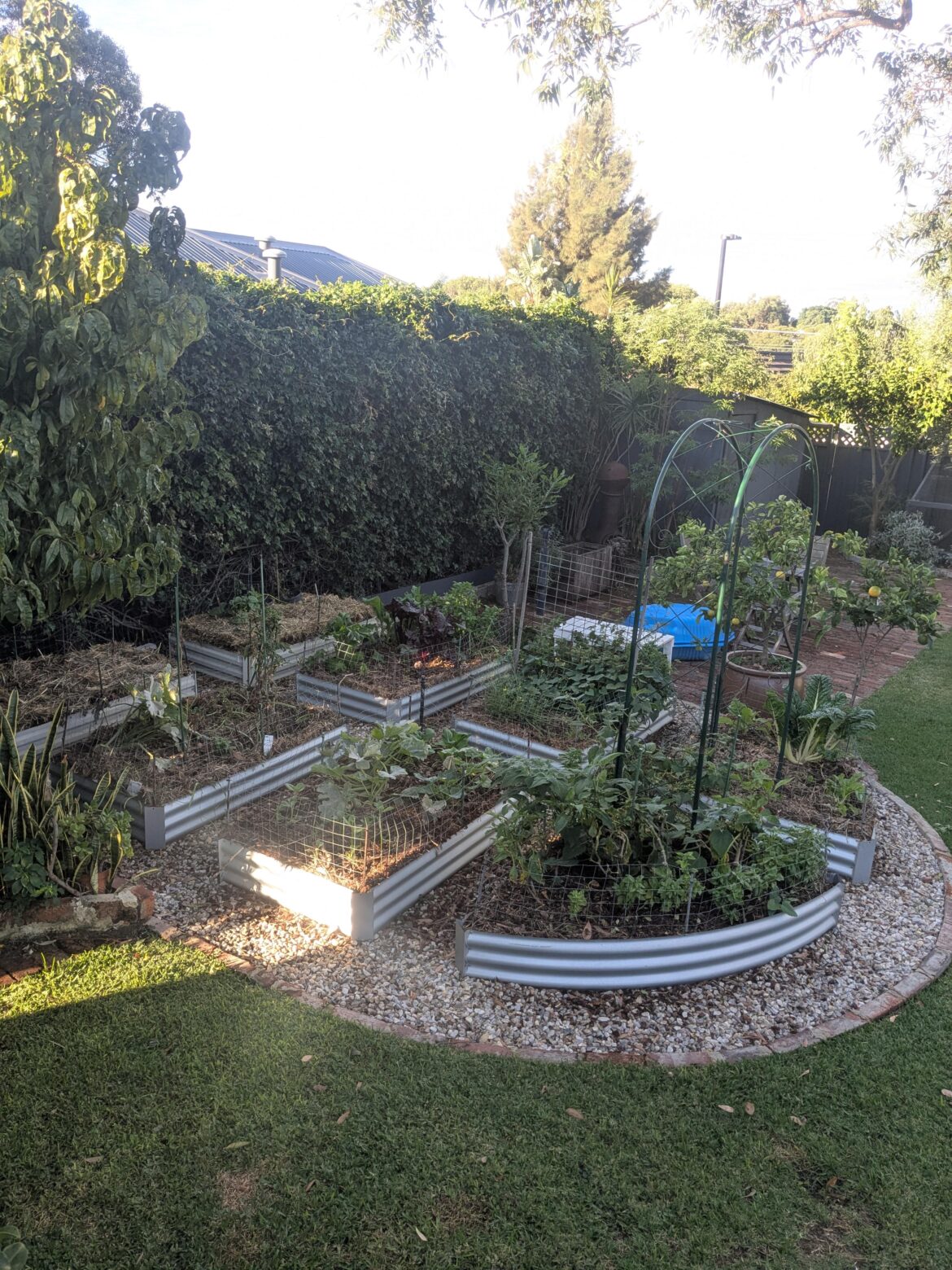 Landscaping ideas for space between garden beds