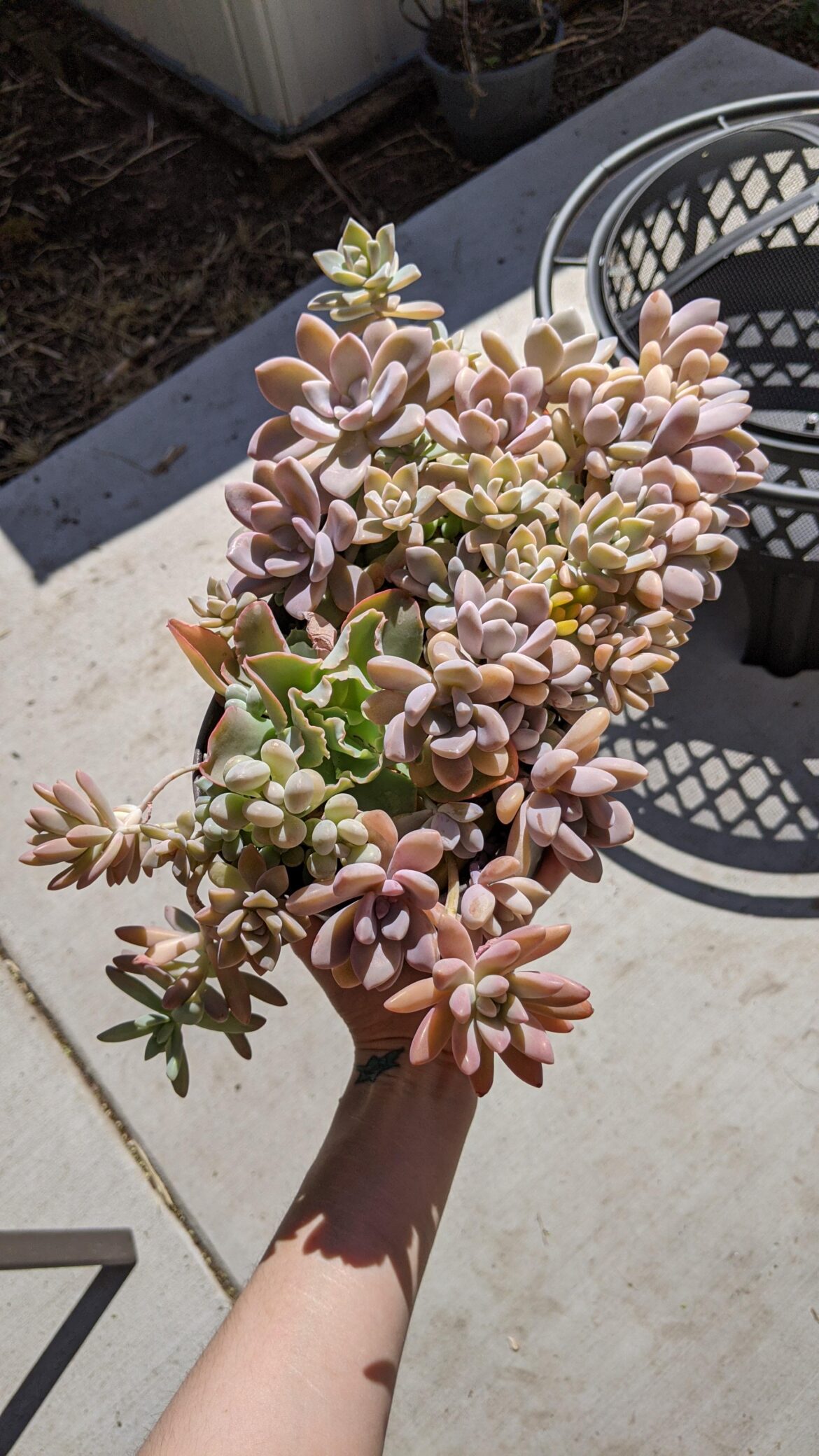 thought you guys might appreciate my prop bucket